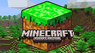 Minecraft - Pocket Edition Gold, Silver & Coins